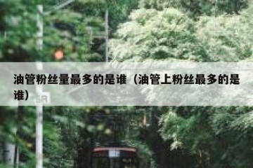油管粉丝量最多的是谁（油管上粉丝最多的是谁）