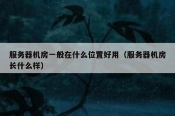 服务器机房一般在什么位置好用（服务器机房长什么样）