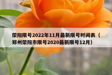 荥阳限号2022年11月最新限号时间表（郑州荥阳市限号2020最新限号12月）