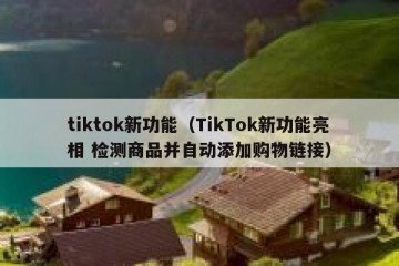 tiktok新功能（TikTok新功能亮相 检测商品并自动添加购物链接）