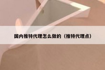 国内推特代理怎么做的（推特代理点）