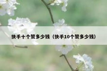 快手十个赞多少钱（快手10个赞多少钱）