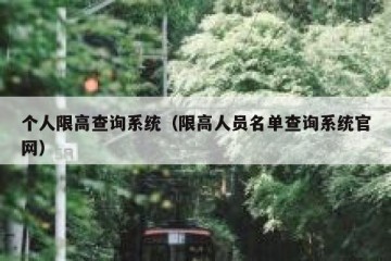 个人限高查询系统（限高人员名单查询系统官网）