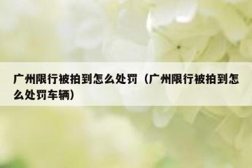 广州限行被拍到怎么处罚（广州限行被拍到怎么处罚车辆）