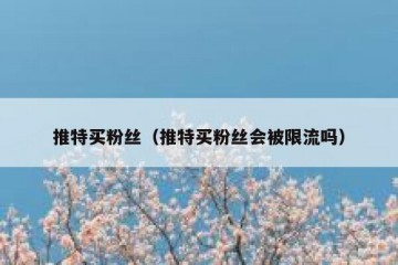 推特买粉丝（推特买粉丝会被限流吗）