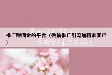 推广赚佣金的平台（微信推广引流加精准客户）