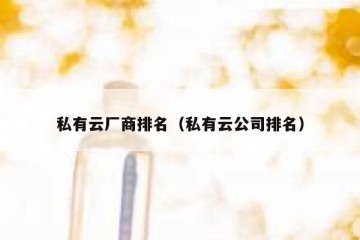 私有云厂商排名（私有云公司排名）