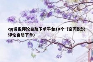 qq说说评论自助下单平台10个（空间说说评论自助下单）