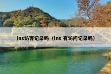 ins访客记录吗（ins 有访问记录吗）