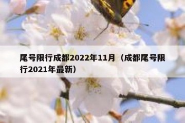 尾号限行成都2022年11月（成都尾号限行2021年最新）