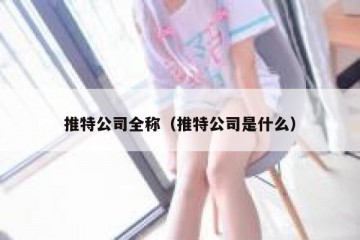 推特公司全称（推特公司是什么）
