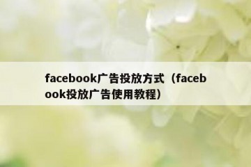 facebook广告投放方式（facebook投放广告使用教程）