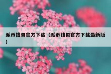 派币钱包官方下载（派币钱包官方下载最新版）