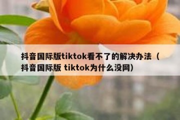 抖音国际版tiktok看不了的解决办法（抖音国际版 tiktok为什么没网）