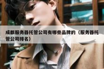 成都服务器托管公司有哪些品牌的（服务器托管公司排名）