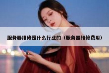 服务器维修是什么行业的（服务器维修费用）