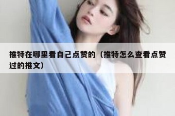 推特在哪里看自己点赞的（推特怎么查看点赞过的推文）