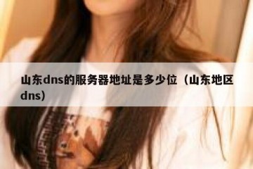 山东dns的服务器地址是多少位（山东地区dns）