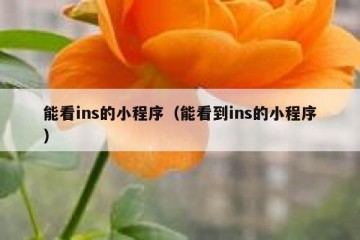 能看ins的小程序（能看到ins的小程序）