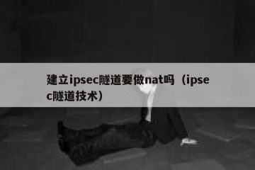 建立ipsec隧道要做nat吗（ipsec隧道技术）