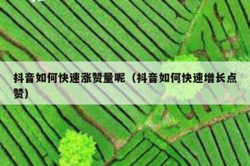 抖音如何快速涨赞量呢（抖音如何快速增长点赞）