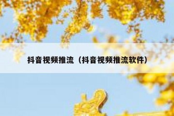 抖音视频推流（抖音视频推流软件）