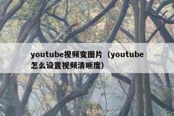 youtube视频变图片（youtube怎么设置视频清晰度）
