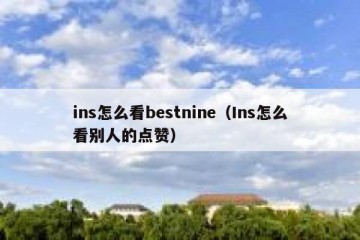 ins怎么看bestnine（Ins怎么看别人的点赞）