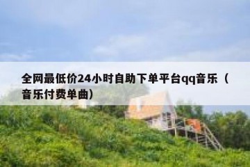 全网最低价24小时自助下单平台qq音乐（音乐付费单曲）