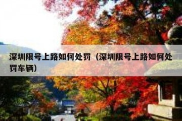 深圳限号上路如何处罚（深圳限号上路如何处罚车辆）