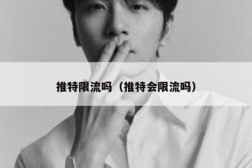 推特限流吗（推特会限流吗）
