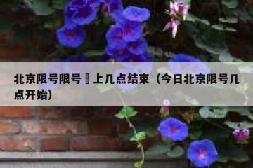 北京限号限号睌上几点结束（今日北京限号几点开始）