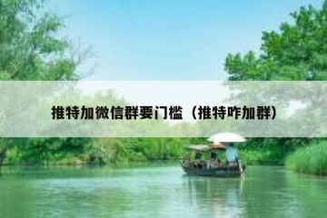 推特加微信群要门槛（推特咋加群）