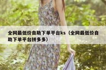 全网最低价自助下单平台ks（全网最低价自助下单平台拼多多）