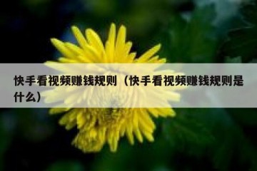 快手看视频赚钱规则（快手看视频赚钱规则是什么）