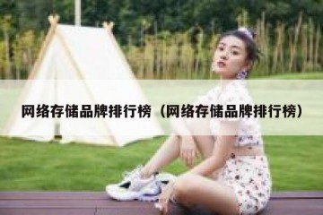 网络存储品牌排行榜（网络存储品牌排行榜）