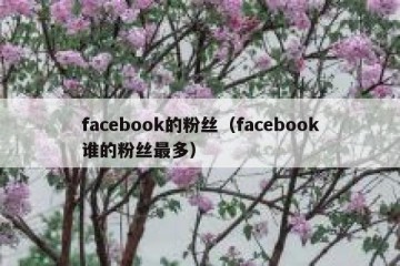 facebook的粉丝（facebook谁的粉丝最多）