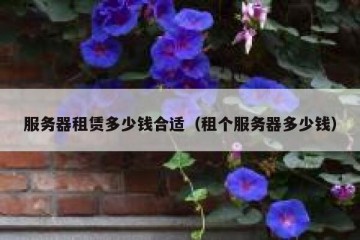 服务器租赁多少钱合适（租个服务器多少钱）