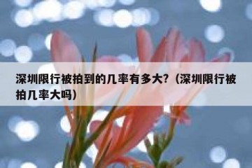 深圳限行被拍到的几率有多大?（深圳限行被拍几率大吗）