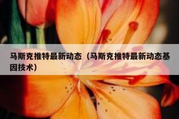 马斯克推特最新动态（马斯克推特最新动态基因技术）