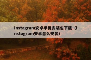 instagram安卓手机安装包下载（instagram安卓怎么安装）