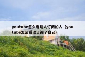 youtube怎么看别人订阅的人（youtube怎么看谁订阅了自己）