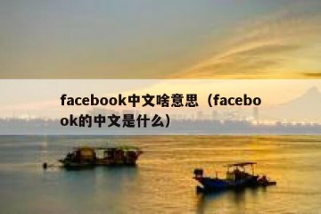 facebook中文啥意思（facebook的中文是什么）