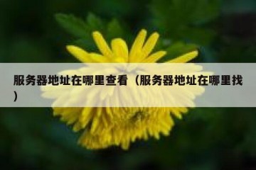 服务器地址在哪里查看（服务器地址在哪里找）