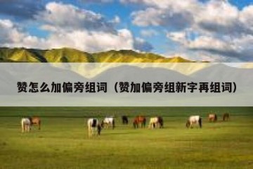 赞怎么加偏旁组词（赞加偏旁组新字再组词）