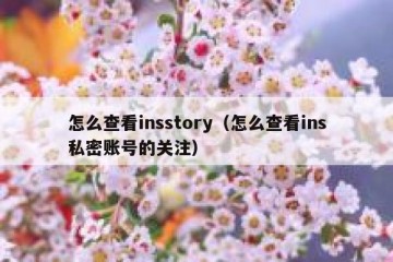 怎么查看insstory（怎么查看ins私密账号的关注）
