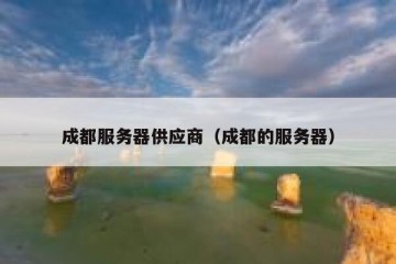 成都服务器供应商（成都的服务器）