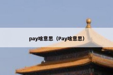 pay啥意思（Pay啥意思）