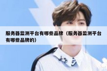 服务器监测平台有哪些品牌（服务器监测平台有哪些品牌的）