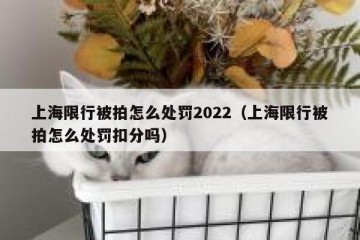 上海限行被拍怎么处罚2022（上海限行被拍怎么处罚扣分吗）